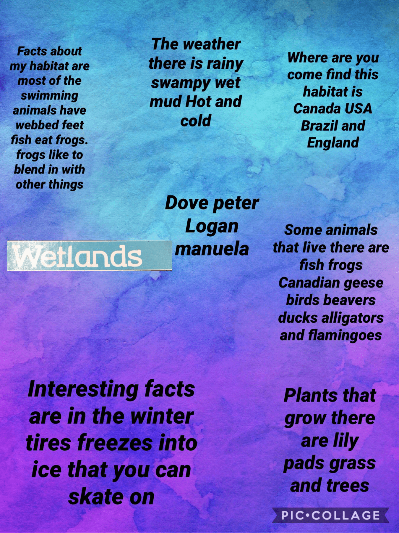 Wetlands Learningin21